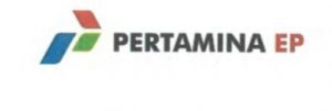 Dugaan Permainan Busuk Menyeruak Pada Proyek Pipanisasi PT Pertamina EP di Rantau Aceh Tamiang, Pemilik Perusahaan Rekanan Masih Bebas Berkeliaran. - Foto: Logo PT Pertamina EP.(Net)