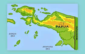 Sejarah munculnya kkb papua dan tujuan kkb papua terus melakukan aksi penyerangan
